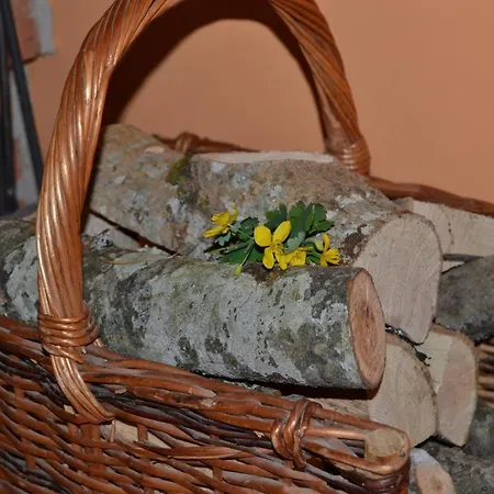Apartment Castano